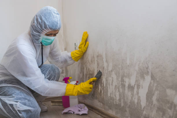 Peachtree City, GA Mold Remediation Company