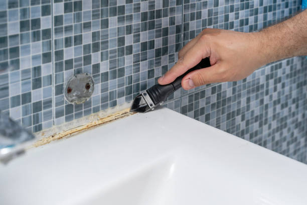 Best Commercial Mold Remediation in Peachtree City, GA