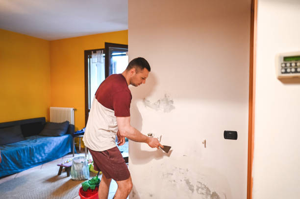 Best DIY Mold Remediation Support Services in Peachtree City, GA